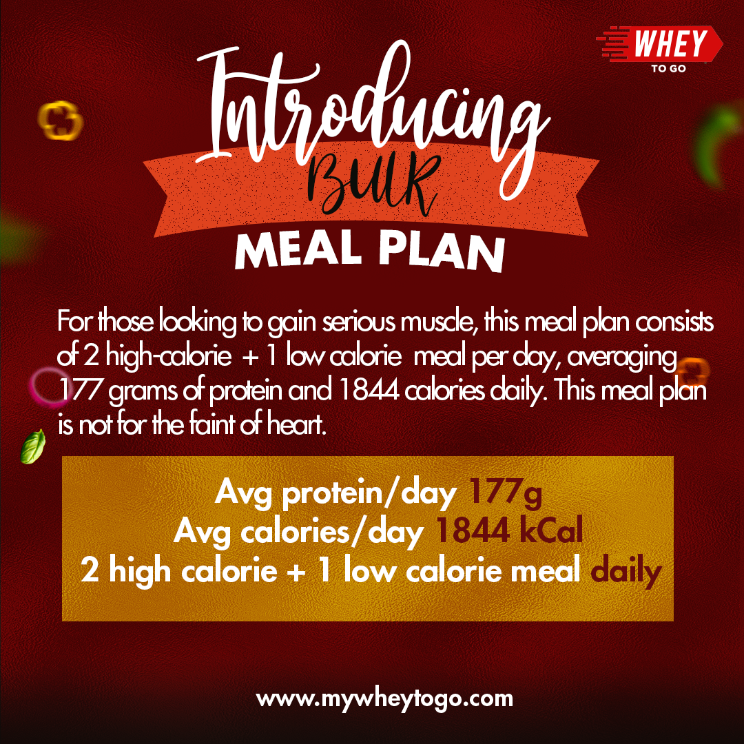 Bulk-Meal-Plan-WHEYTOGO